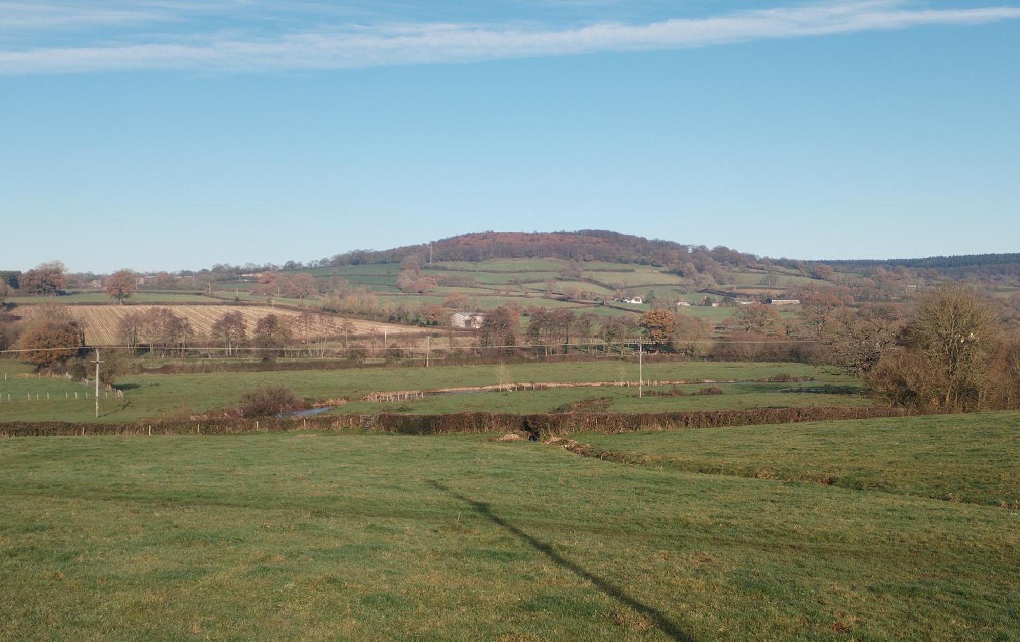 Spacious And Sunny Accommodation With Underfloor Heating Throughout Culmstock Exterior foto